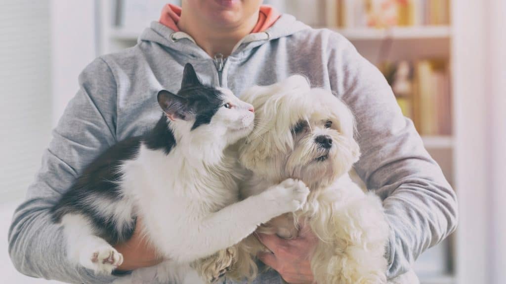 Как Да Поддържате Домашните Си Любимци Щастливи и Здрави