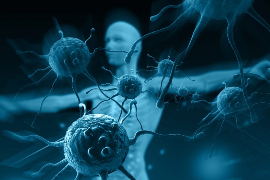 10 Начина Да Повишите Имунната Си Система Срещу Вируси