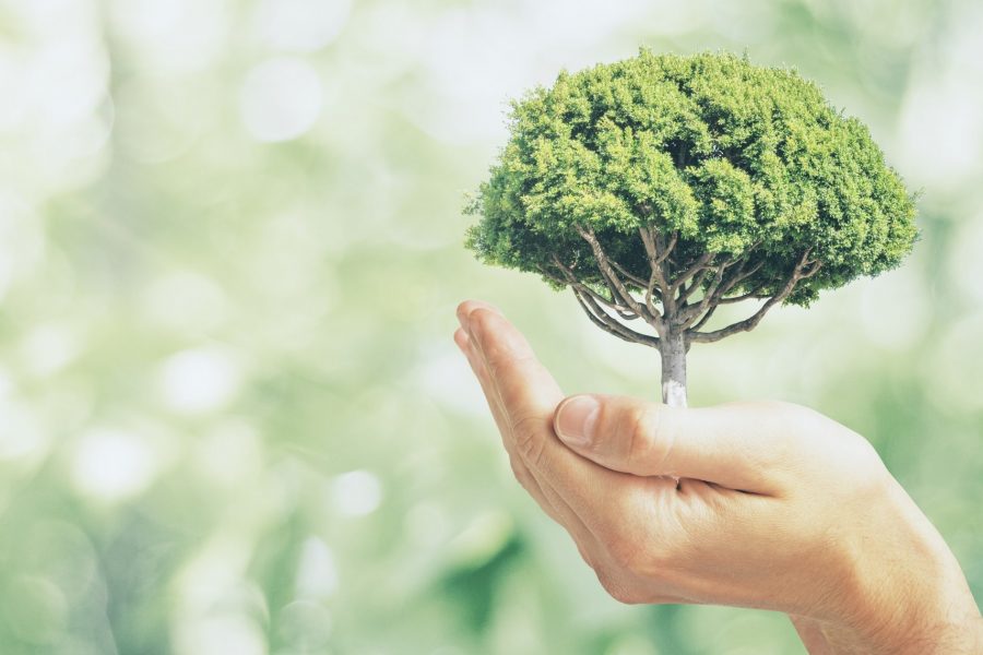 Екологичен Начин На Живот, Който Може Да Спаси Земята