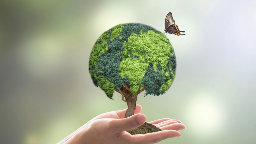 чиста околна среда