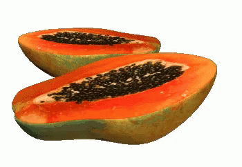 Papaya