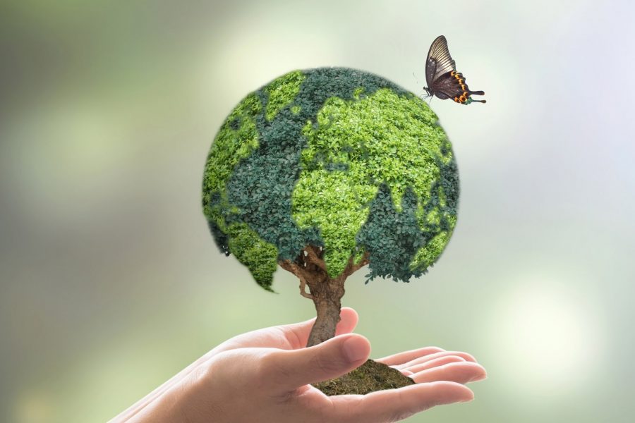 Здравословни Съвети За По-Чиста Среда