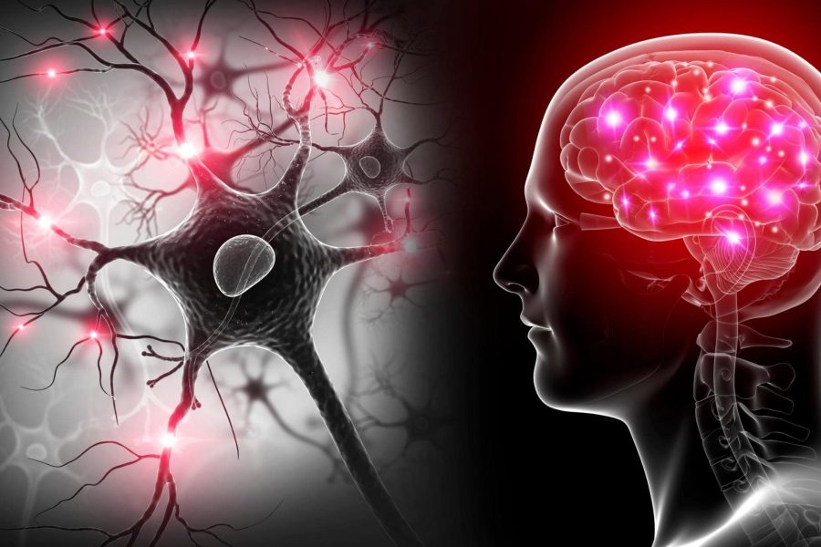 Ежедневни Навици, Които Могат Да Навредят На Мозъка Ви