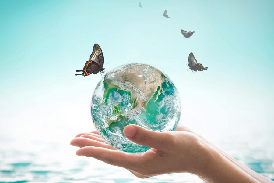 Екологични Навици За Устойчива Екосистема