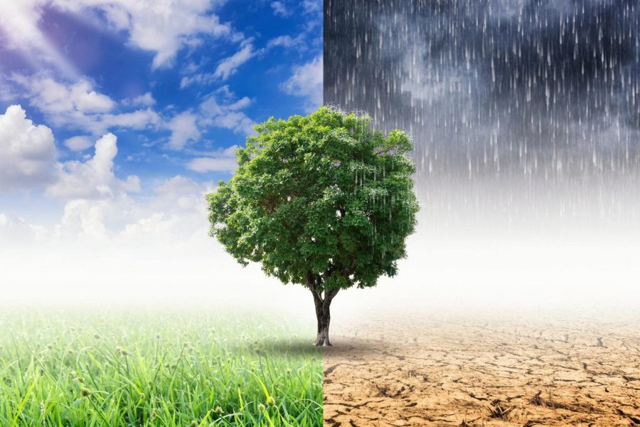 Природосъобразни Ефекти Върху Промяната На Климата