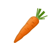 Carrot Vegetable