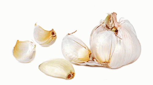 Garlic Cloves