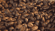Coffee Beans National Geographic
