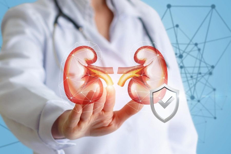 Седем Съвета За Поддържане На Здрави Бъбреци