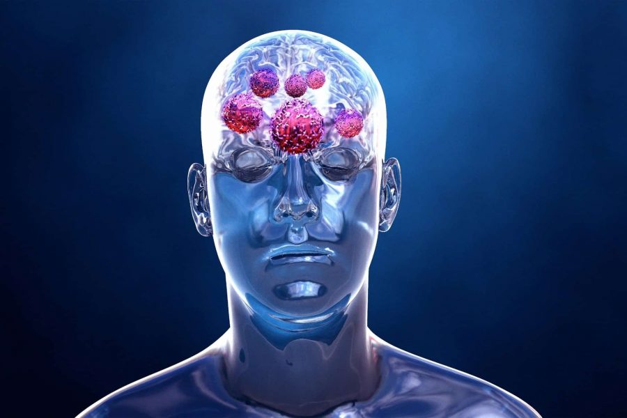 5 Храни, Които Могат Да Стимулират Мозъка Ви