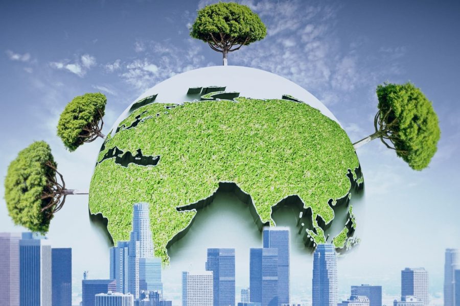 5 Начина, По Които Можете Да Помогнете За Опазването На Околната Среда