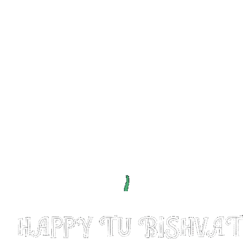 New Year For The Trees Birthday Of Trees