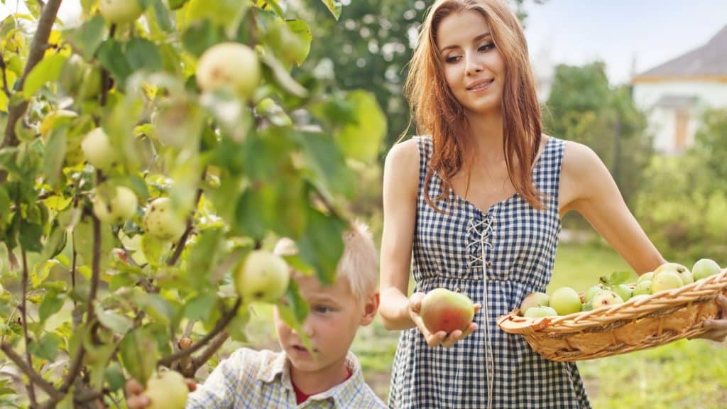 здравословни навици