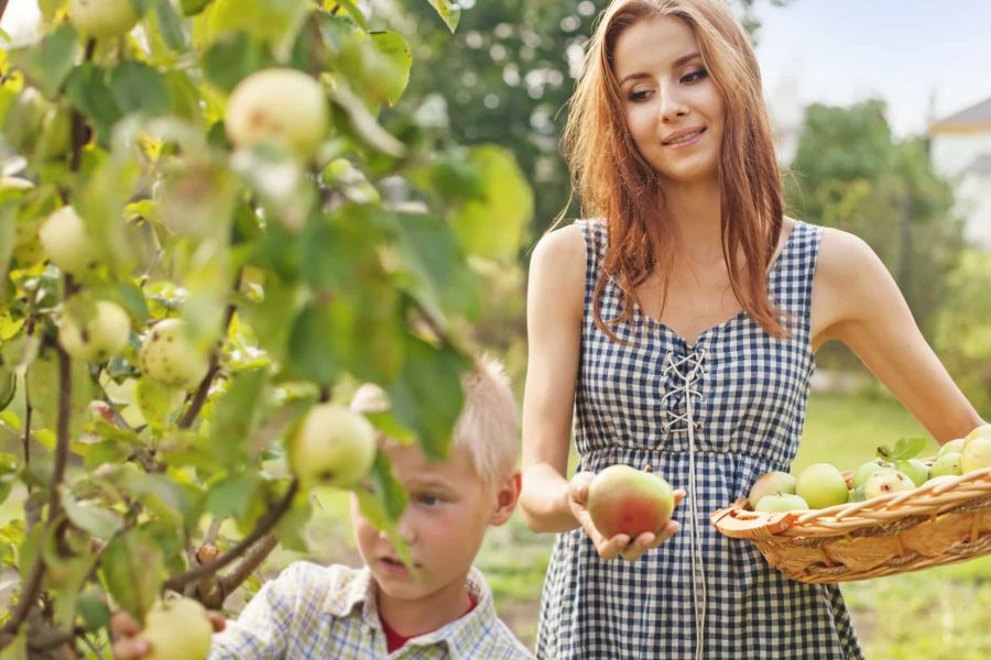 15 Здравословни Навика, Които Ще Ви Гарантират Качествен Живот