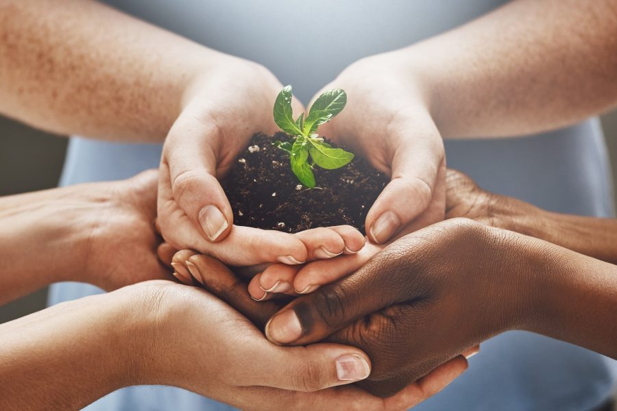 5 Лесни Стъпки Към По-Екологичен Дом