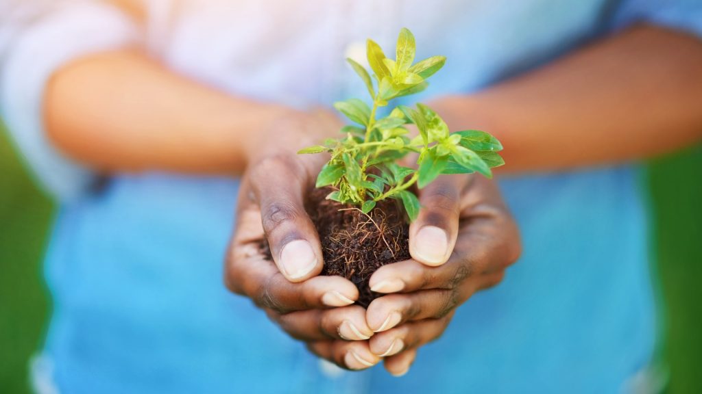 околна среда