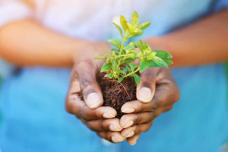 Въздействието На Факторите На Околната Среда Върху Дълголетието и Благосъстоянието