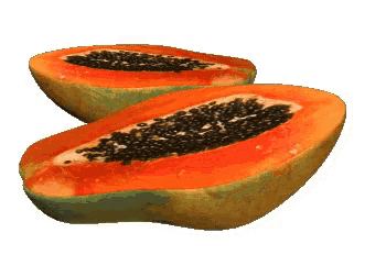 Papaya